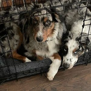 Meet your Posher, Danica